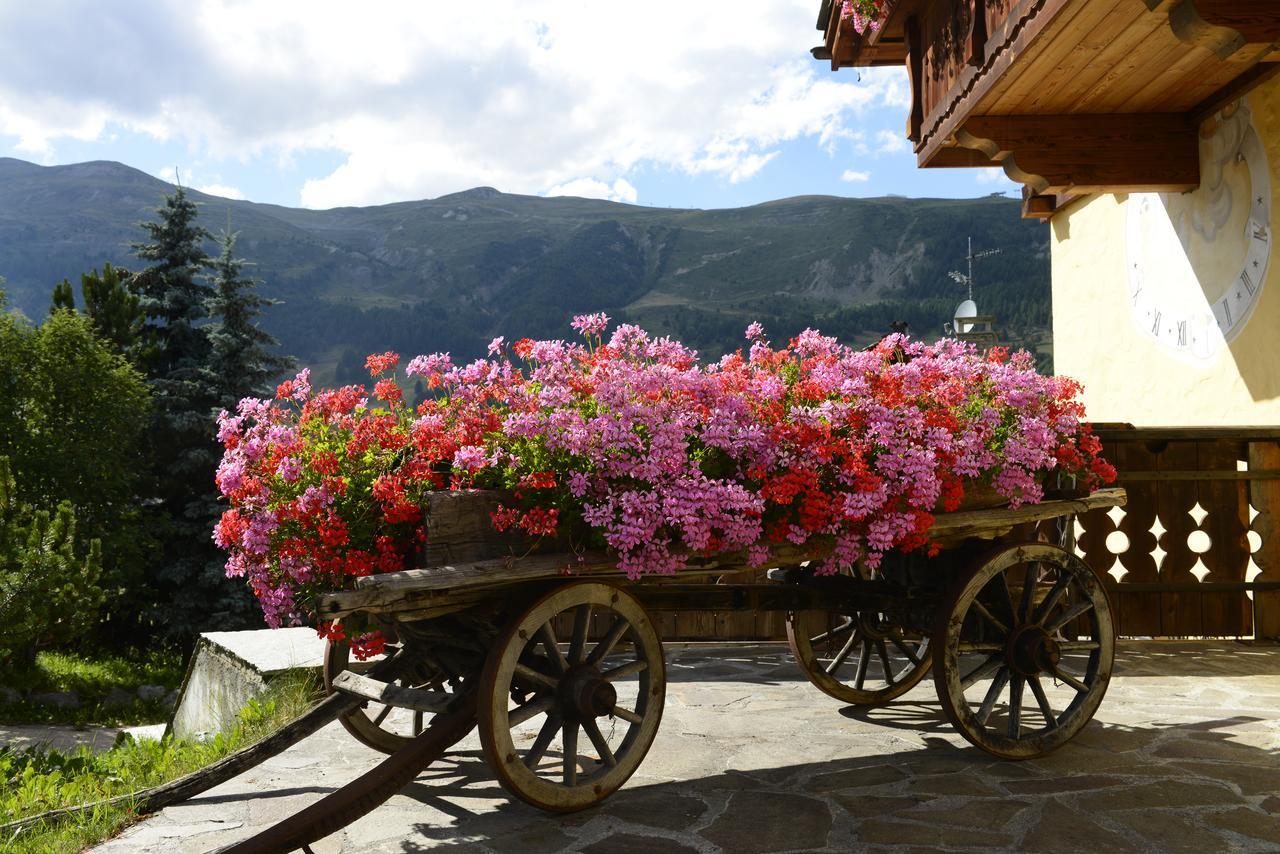 Chalet Garden Livigno Buitenkant foto